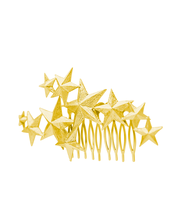 Cosmos Hair Pin