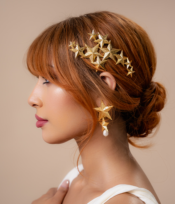 Cosmos Hair Pin