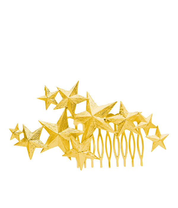Cosmos Hair Pin